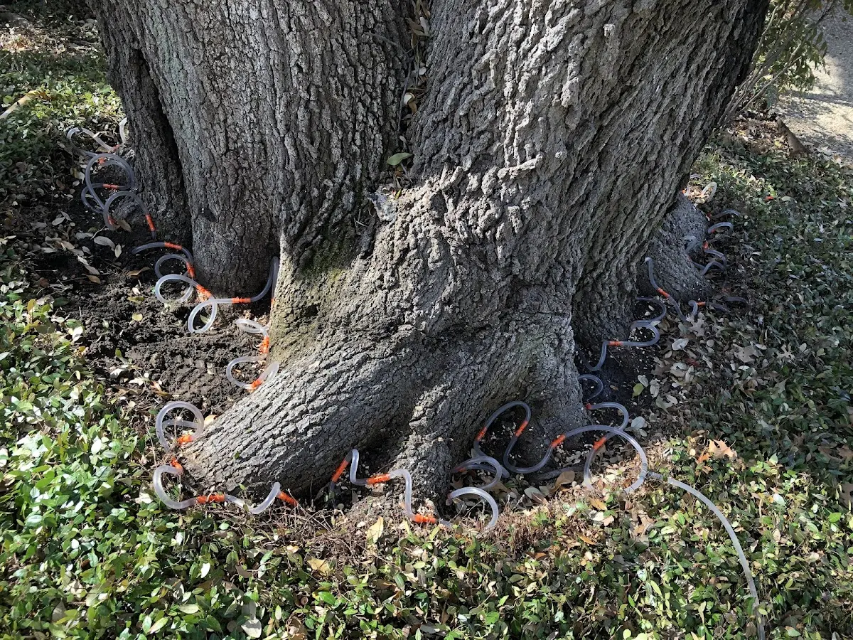 Detailed Shrub and Hedge Trimming job site in Woodstock